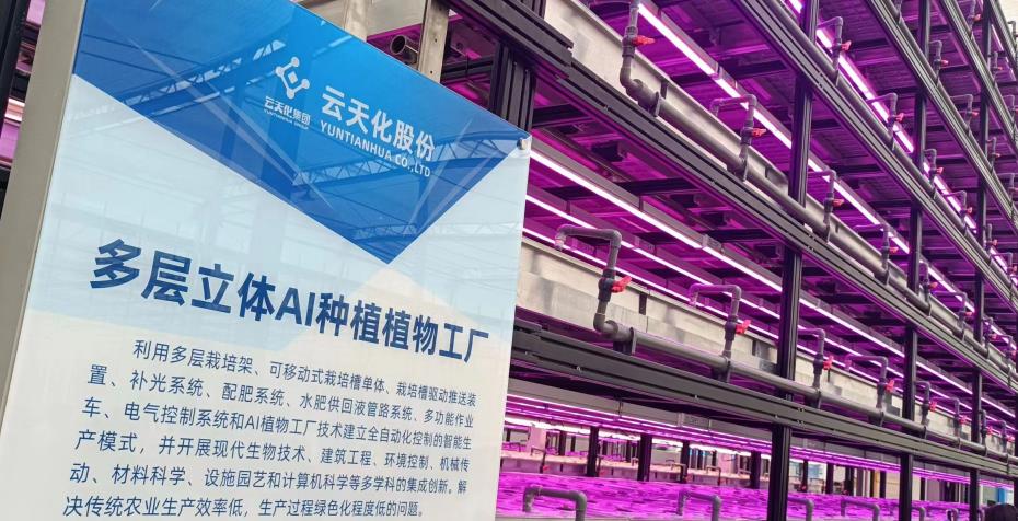 有一種叫云南的生活 | “遇見云花·邂逅彩虹”網絡大V走進云天化